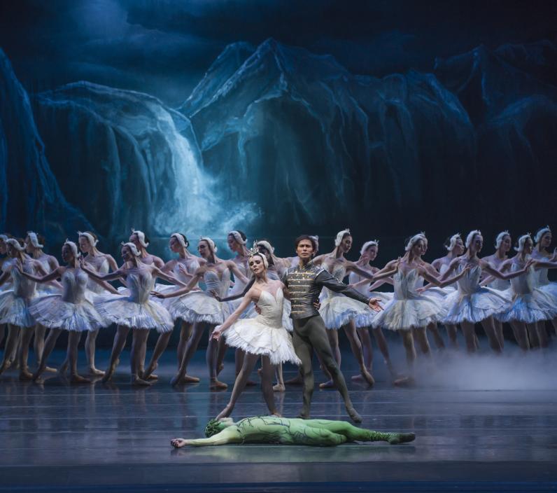 boring swan lake